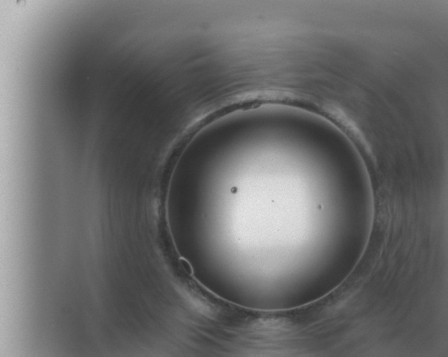 X0000072940063200607282214