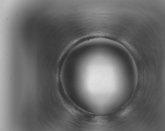 X0000072940064200607282214