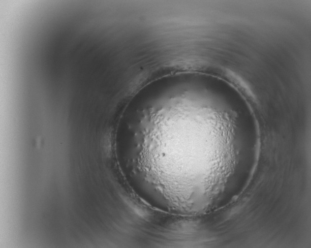 X0000072940065200607282214