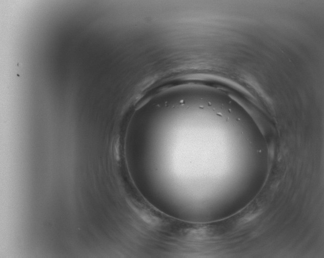 X0000072940068200607282214