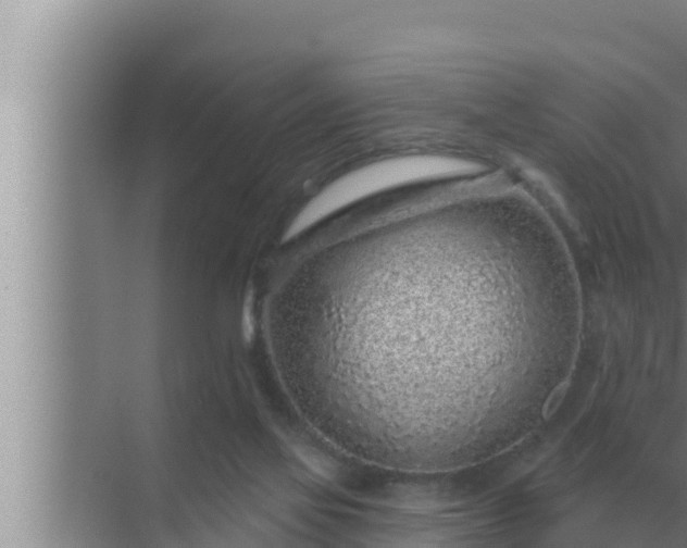 X0000072940069200607282214