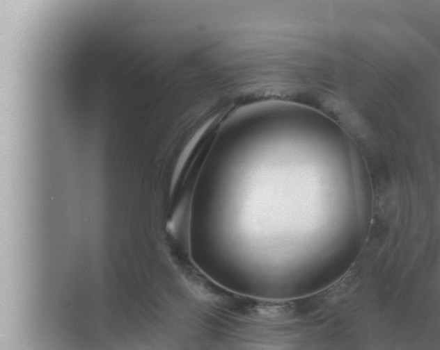 X0000072940070200607282214