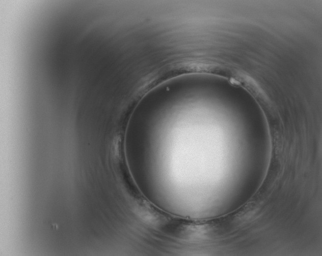 X0000072940071200607282214