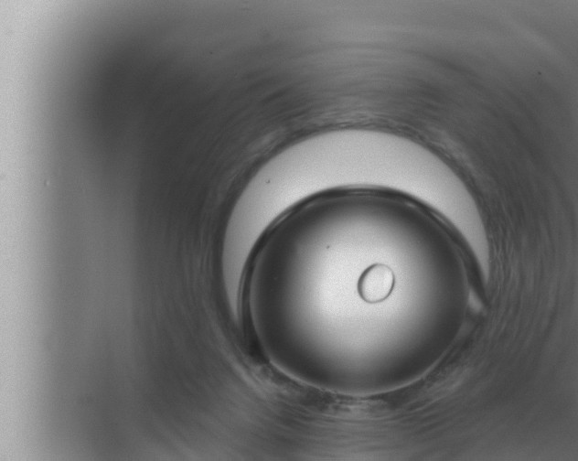 X0000072940072200607282214