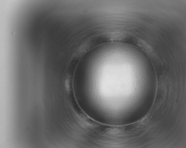 X0000072940074200607282214