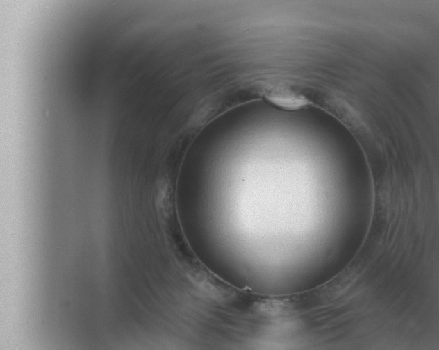 X0000072940079200607282214