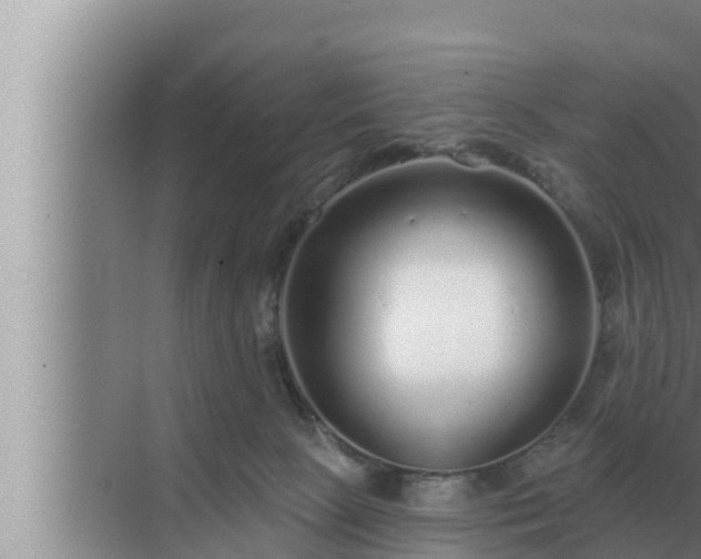 X0000072940081200607282214