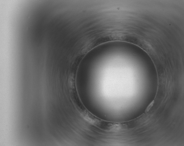 X0000072940083200607282214