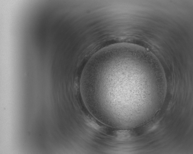 X0000072940085200607282214