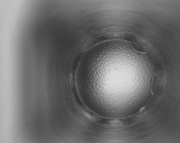 X0000072940087200607282214