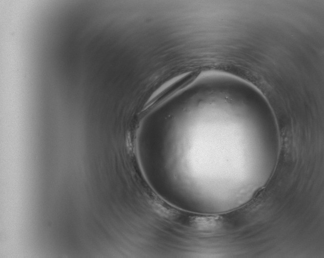 X0000072940089200607282214