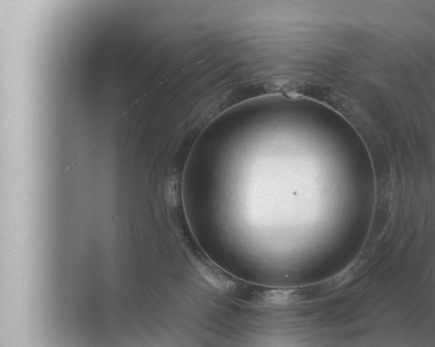 X0000072940090200607282214