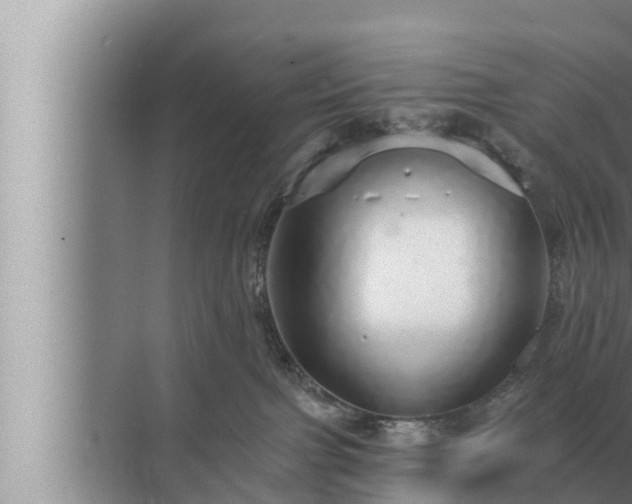 X0000072940091200607282214