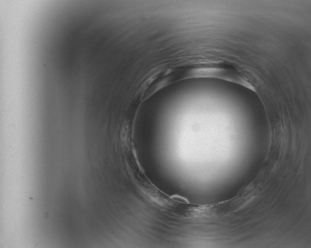 X0000072940092200607282214