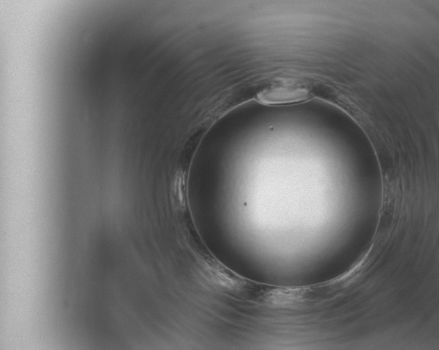 X0000072940094200607282214