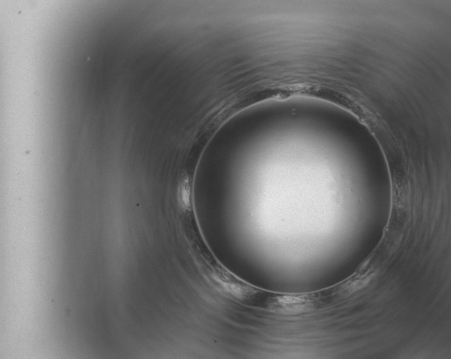 X0000072940095200607282214