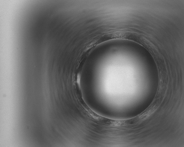 X0000072940096200607282214