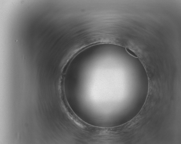 X0000072940098200607282214