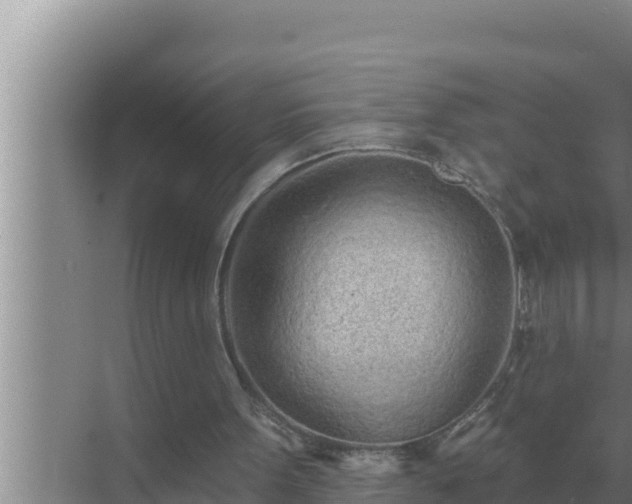 X0000072940099200607282214