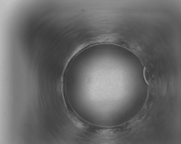 X0000072940100200607282214