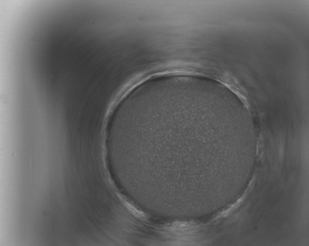 X0000072940101200607282214