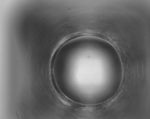 X0000072940102200607282214