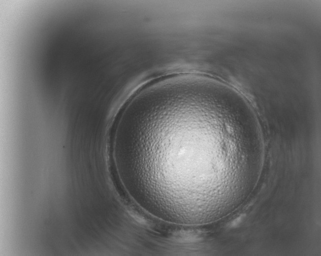 X0000072940103200607282214