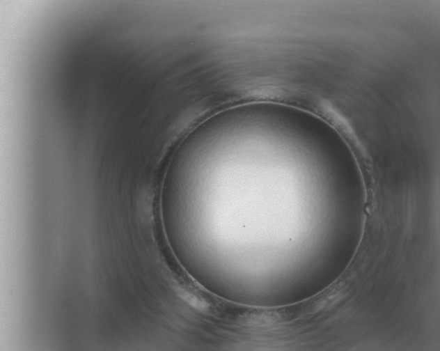 X0000072940106200607282214