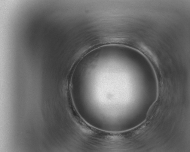 X0000072940107200607282213