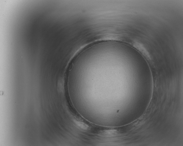 X0000072940108200607282213