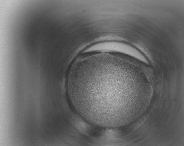 X0000072940111200607282213