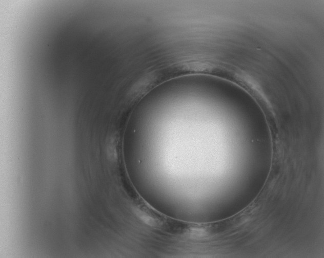 X0000072940114200607282213