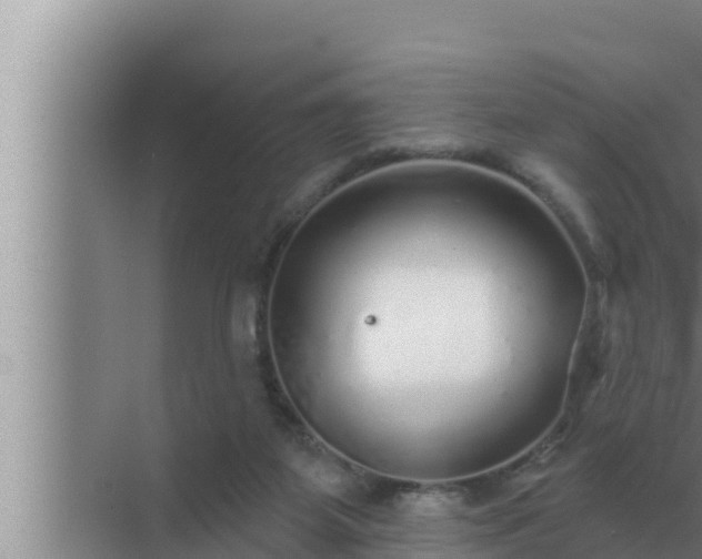 X0000072940115200607282213