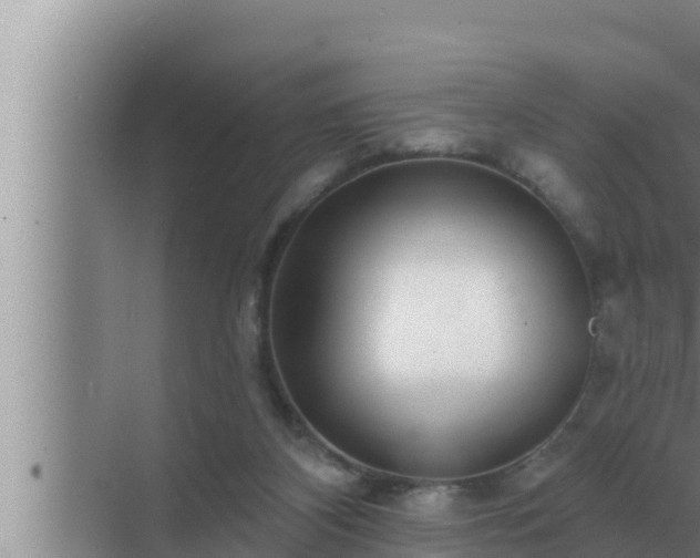 X0000072940116200607282213