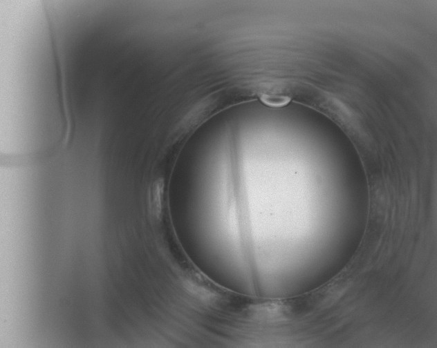 X0000072940118200607282213