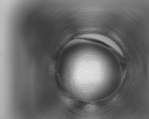 X0000072940119200607282213