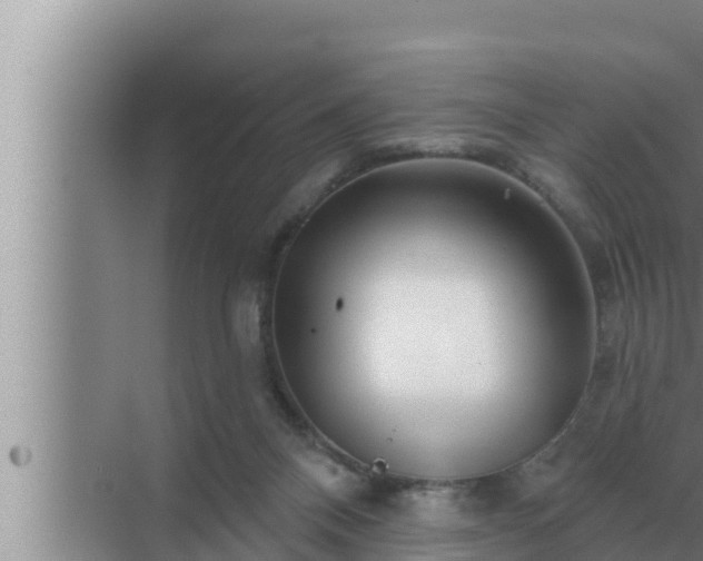 X0000072940120200607282213