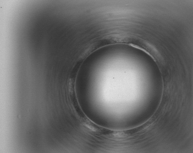 X0000072940121200607282213