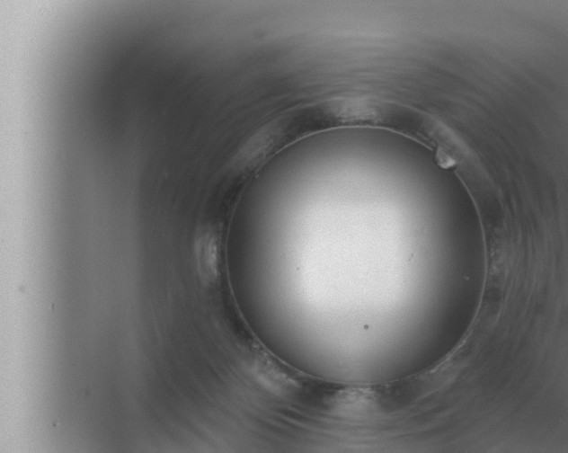 X0000072940124200607282213