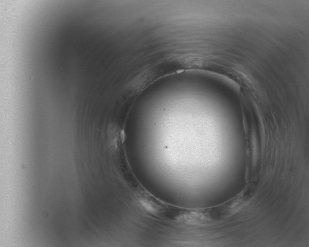 X0000072940125200607282213