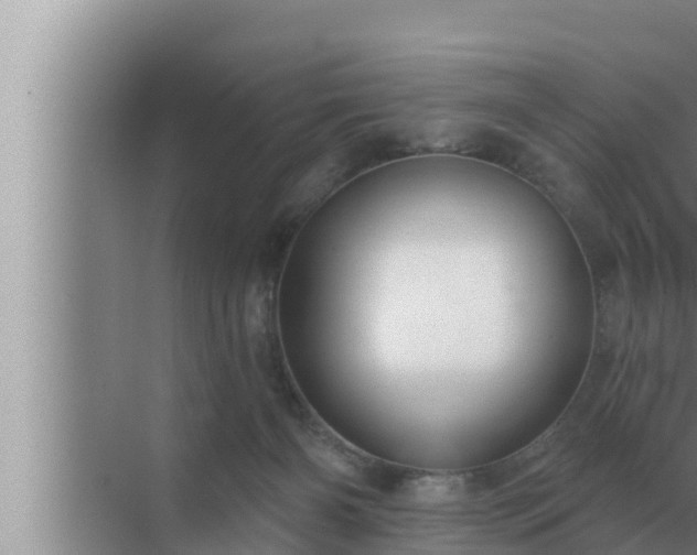 X0000072940126200607282213