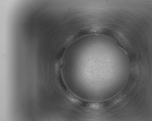 X0000072940127200607282213