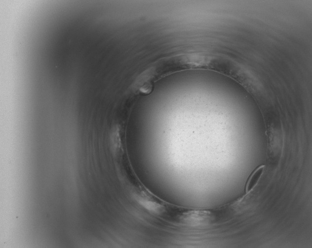 X0000072940128200607282213