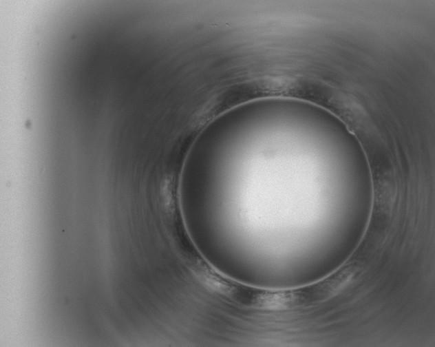 X0000072940131200607282213