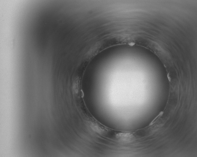 X0000072940133200607282213