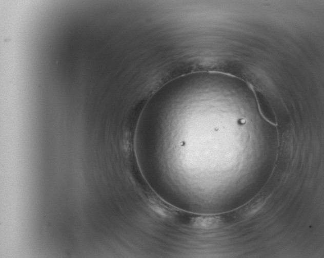 X0000072940135200607282213