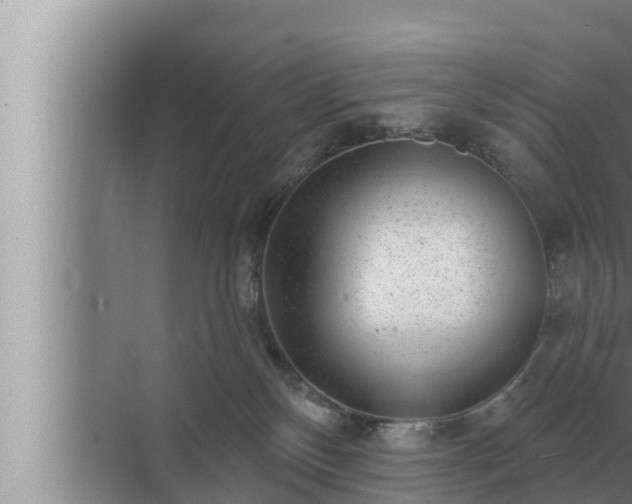 X0000072940136200607282213