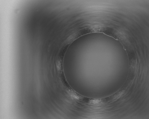 X0000072940139200607282213