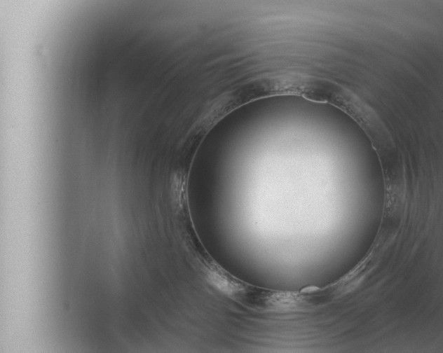 X0000072940142200607282213