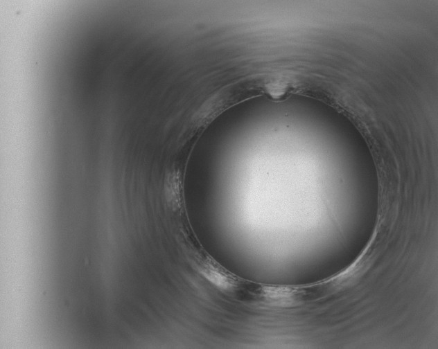 X0000072940144200607282213